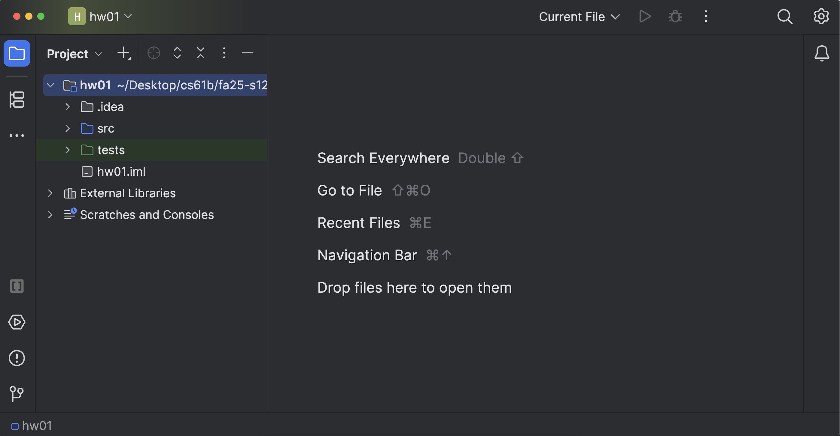 Arithmetic IntelliJ